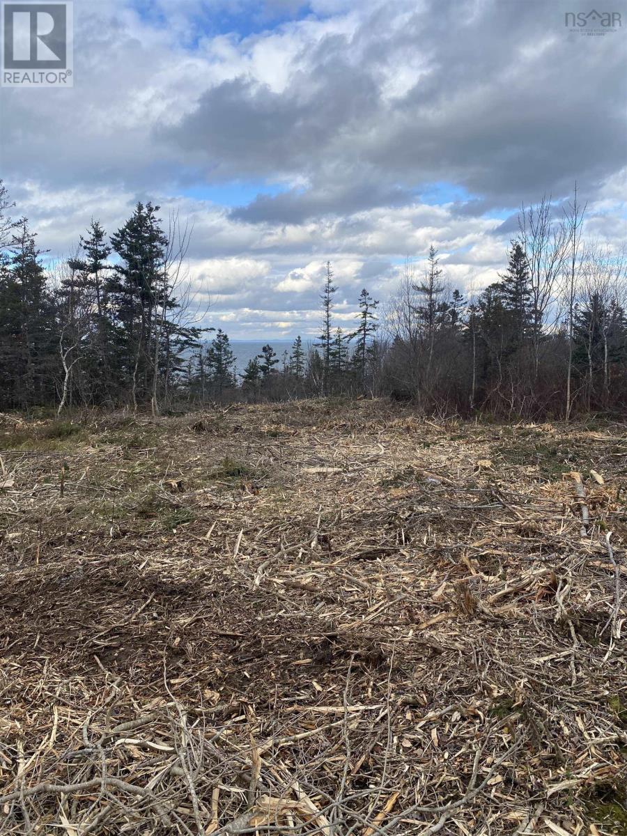 Lot 9 Shore Road West, Phinneys Cove, Nova Scotia  B0S 1L0 - Photo 2 - 202606563