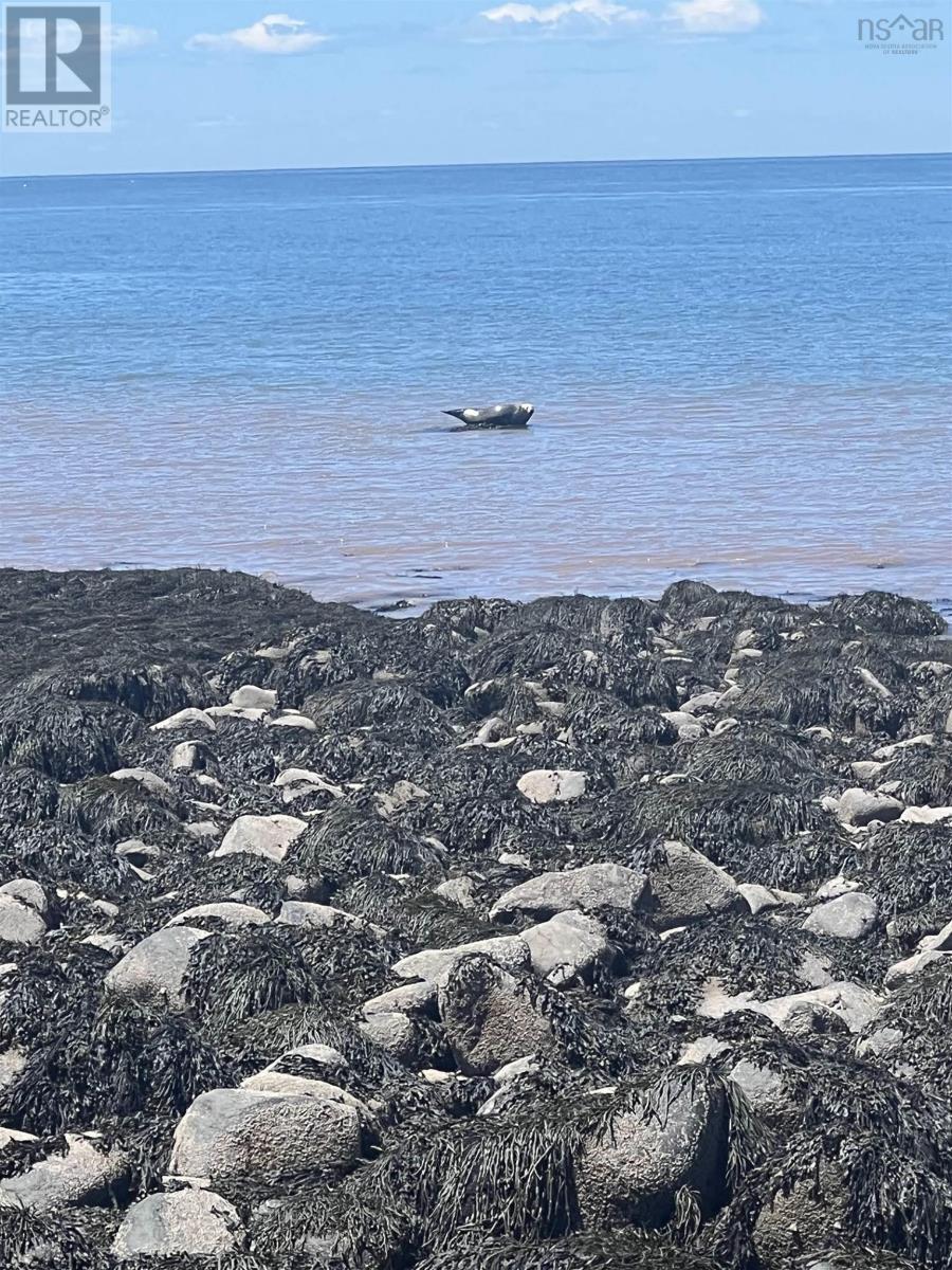 Lot 9 Shore Road West, Phinneys Cove, Nova Scotia  B0S 1L0 - Photo 22 - 202606563