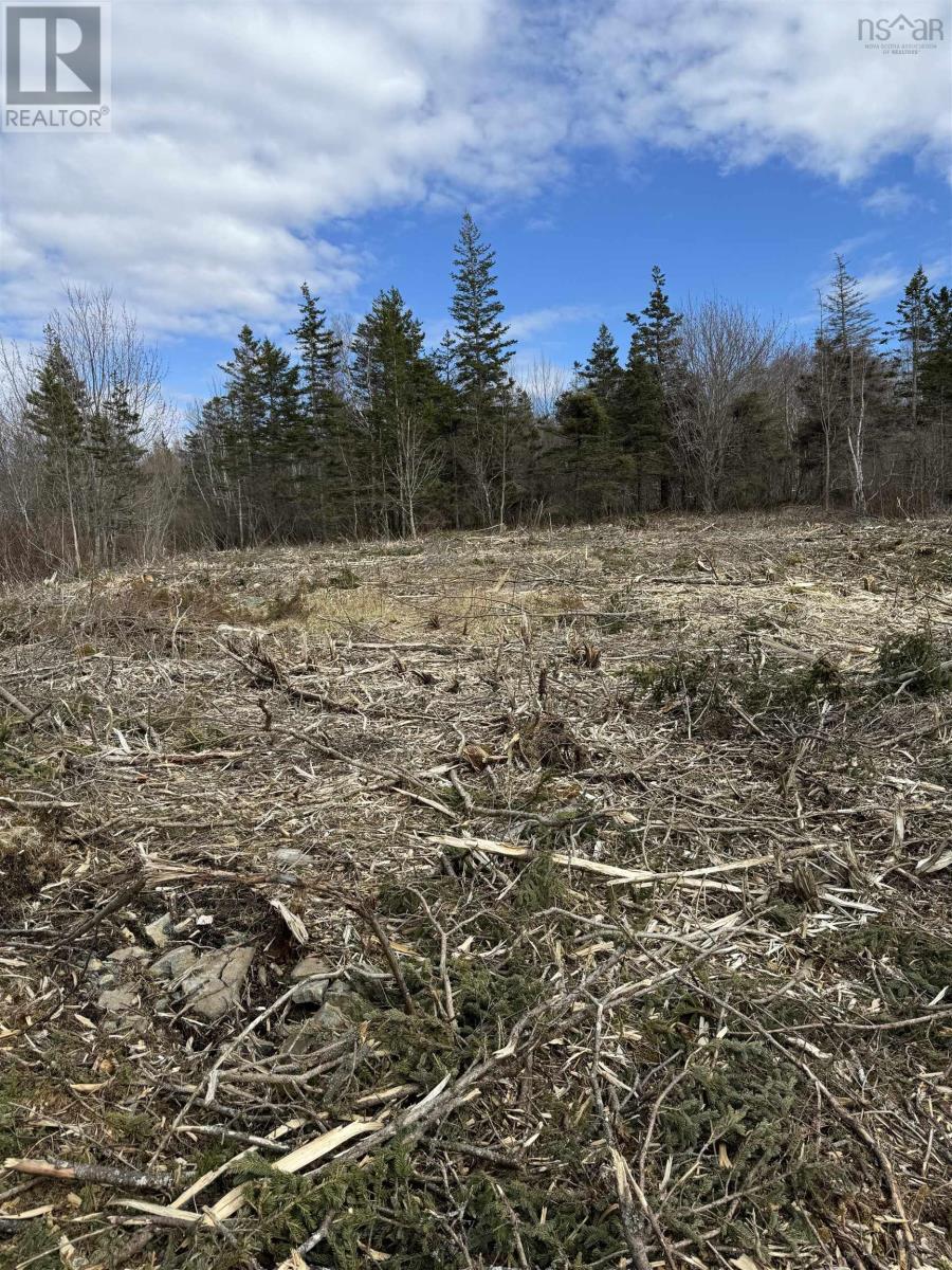 Lot 9 Shore Road West, Phinneys Cove, Nova Scotia  B0S 1L0 - Photo 3 - 202606563
