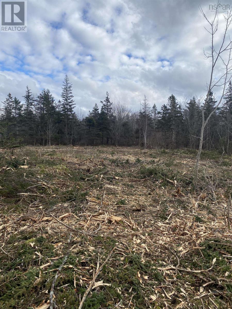 Lot 9 Shore Road West, Phinneys Cove, Nova Scotia  B0S 1L0 - Photo 4 - 202606563
