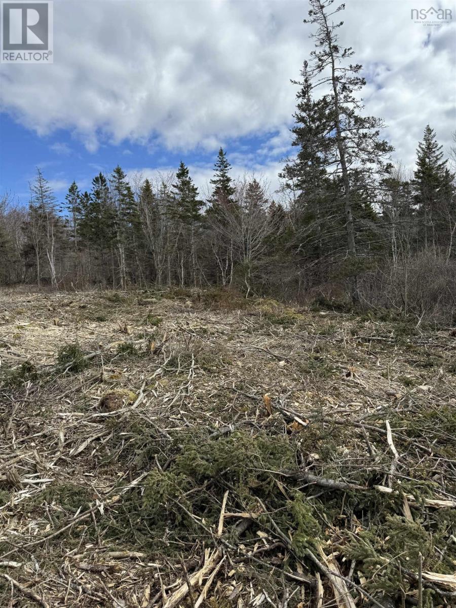 Lot 9 Shore Road West, Phinneys Cove, Nova Scotia  B0S 1L0 - Photo 5 - 202606563