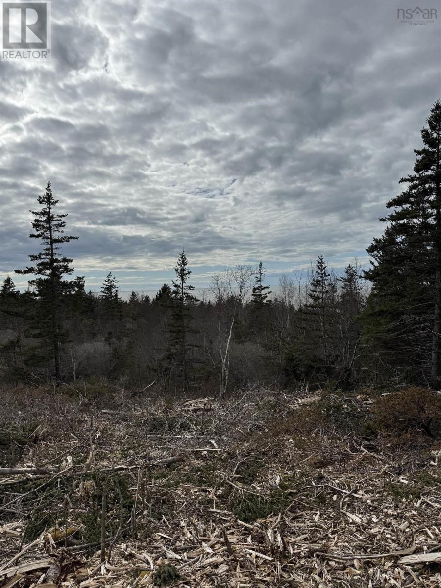 Lot 9 Shore Road West, Phinneys Cove, Nova Scotia  B0S 1L0 - Photo 6 - 202606563
