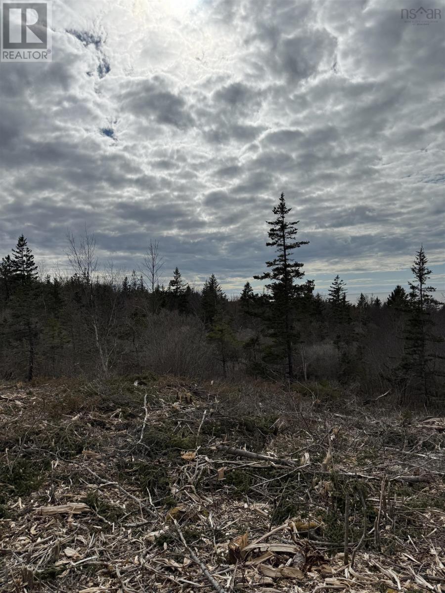 Lot 9 Shore Road West, Phinneys Cove, Nova Scotia  B0S 1L0 - Photo 7 - 202606563