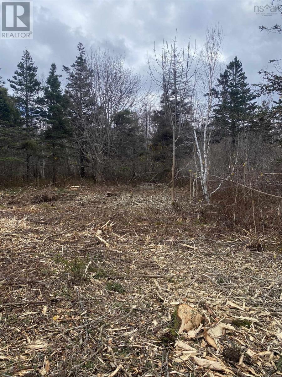 Lot 9 Shore Road West, Phinneys Cove, Nova Scotia  B0S 1L0 - Photo 8 - 202606563