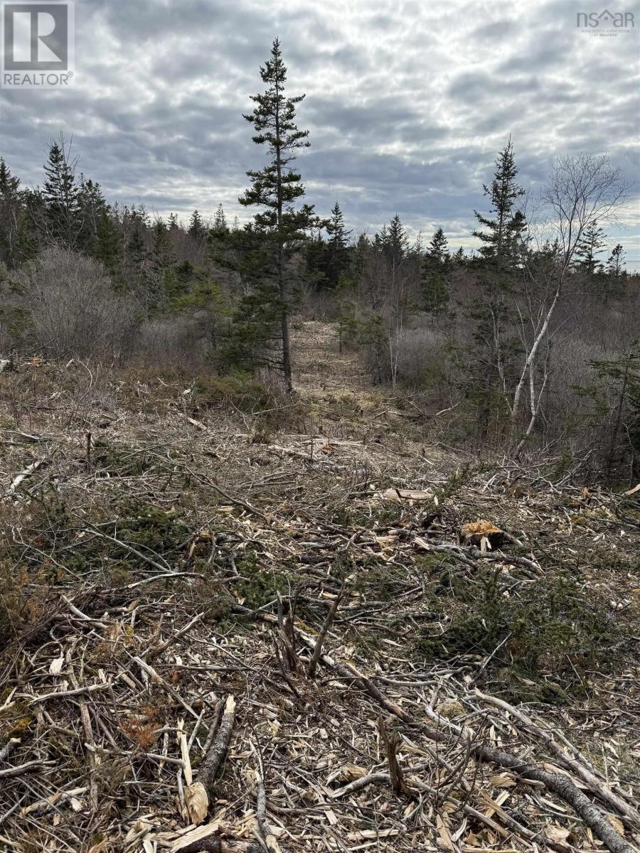 Lot 9 Shore Road West, Phinneys Cove, Nova Scotia  B0S 1L0 - Photo 9 - 202606563