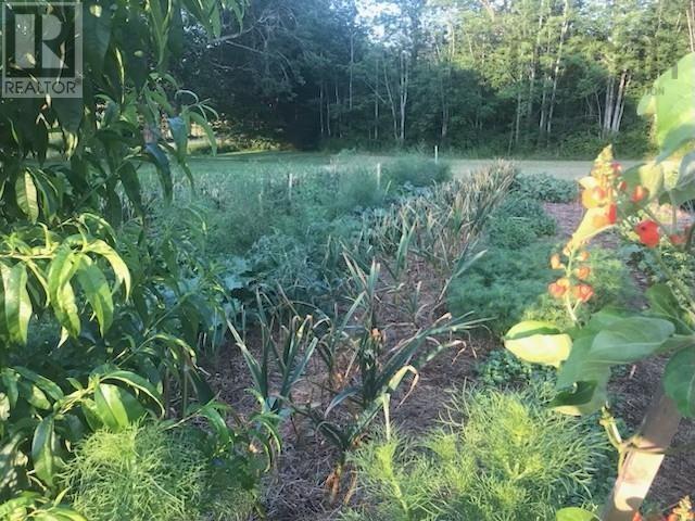 2041 Clarence Road, Clarence, Nova Scotia  B0S 1C0 - Photo 18 - 202606567