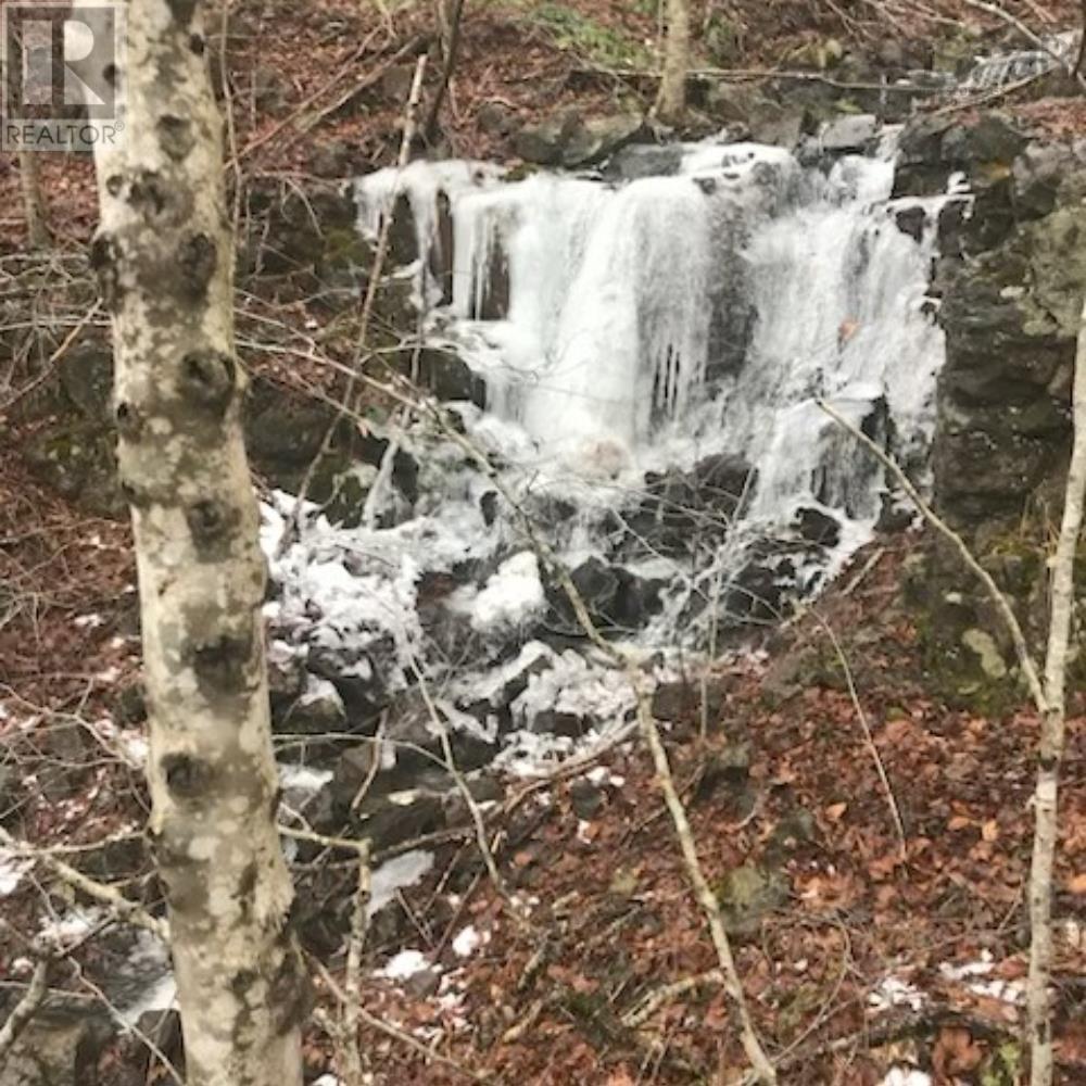 2041 Clarence Road, Clarence, Nova Scotia  B0S 1C0 - Photo 20 - 202606567