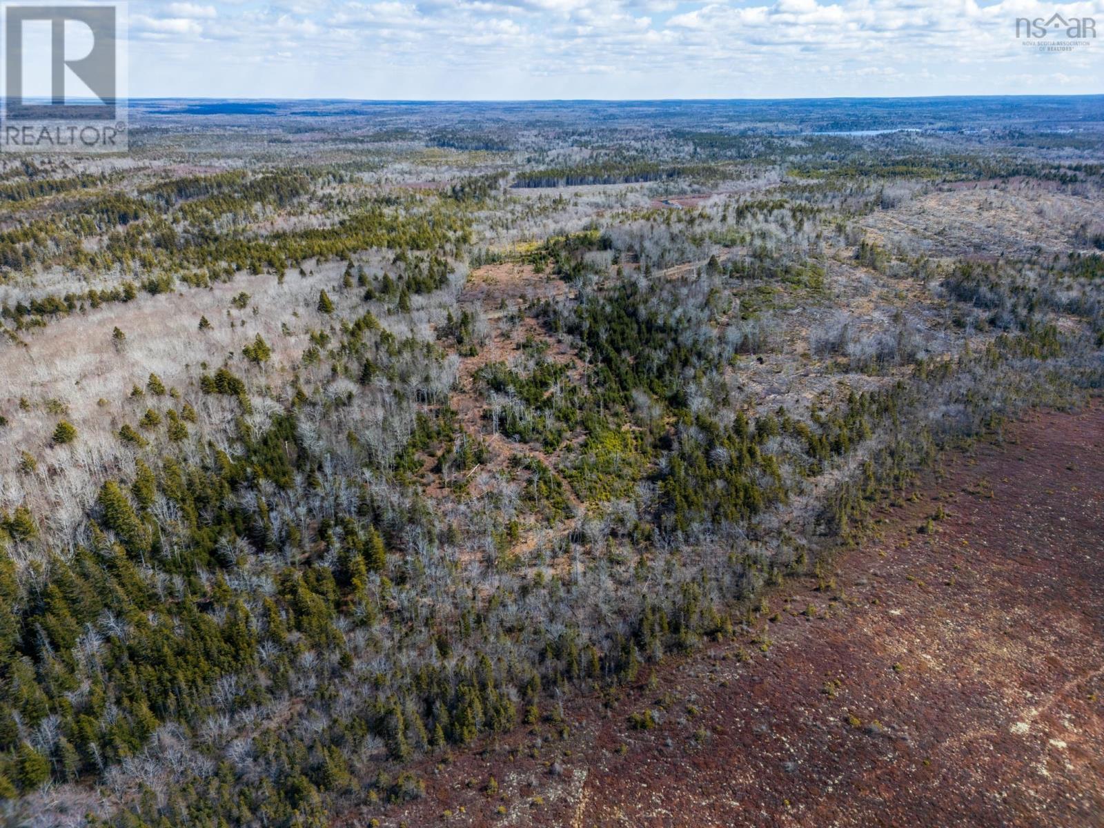 Lot Davis Cove Road, Salmon River, Nova Scotia  B5A 5B3 - Photo 10 - 202606602