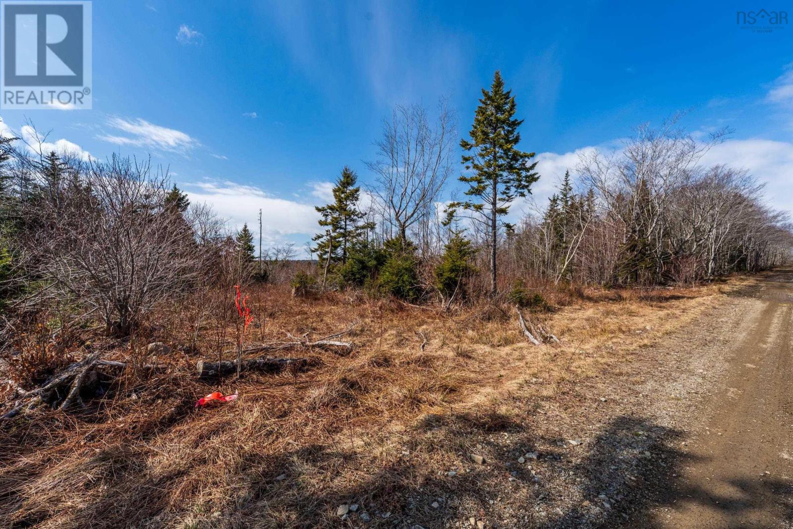 Lot Davis Cove Road, Salmon River, Nova Scotia  B5A 5B3 - Photo 14 - 202606602