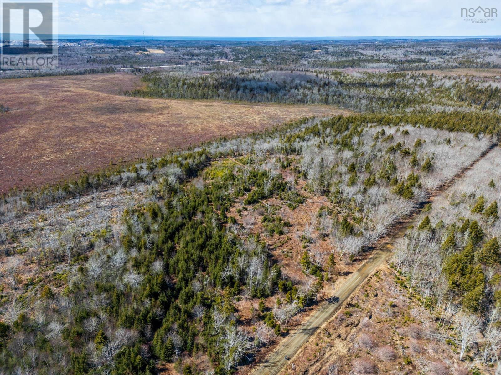 Lot Davis Cove Road, Salmon River, Nova Scotia  B5A 5B3 - Photo 14 - 202606605