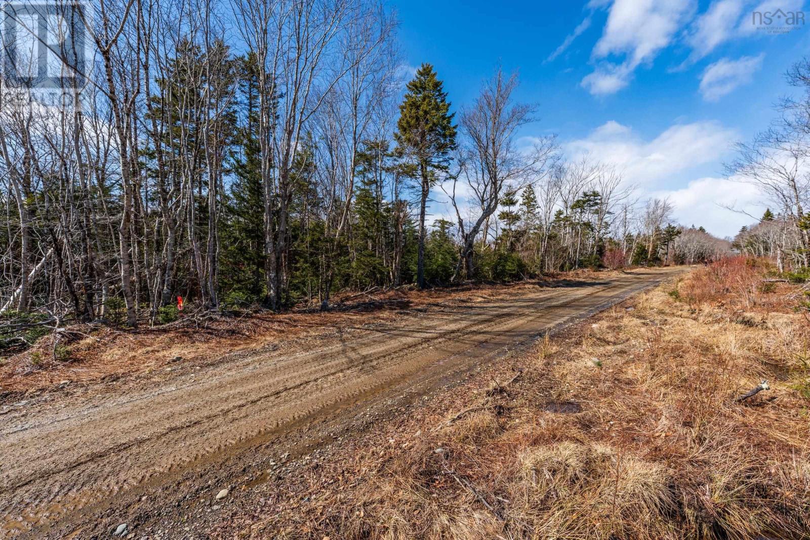Lot Davis Cove Road, Salmon River, Nova Scotia  B5A 5B3 - Photo 7 - 202606605