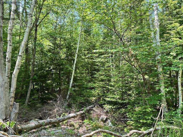 5 Joseph Street, Labelle, Nova Scotia  B0T 1E0 - Photo 2 - 202606647