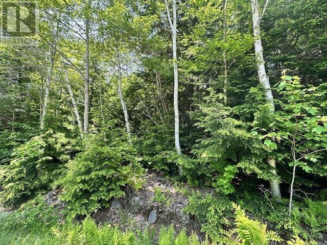 5 Joseph Street, Labelle, Nova Scotia  B0T 1E0 - Photo 3 - 202606647