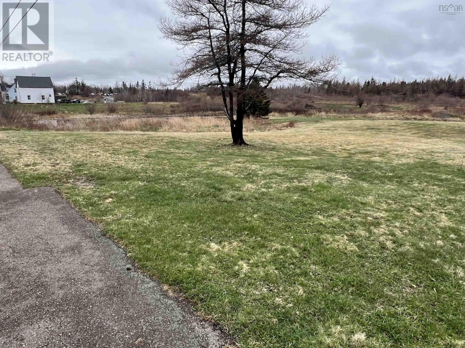 2017-1 Neville Street, Reserve Mines, Nova Scotia  B1E 1G5 - Photo 4 - 202606841