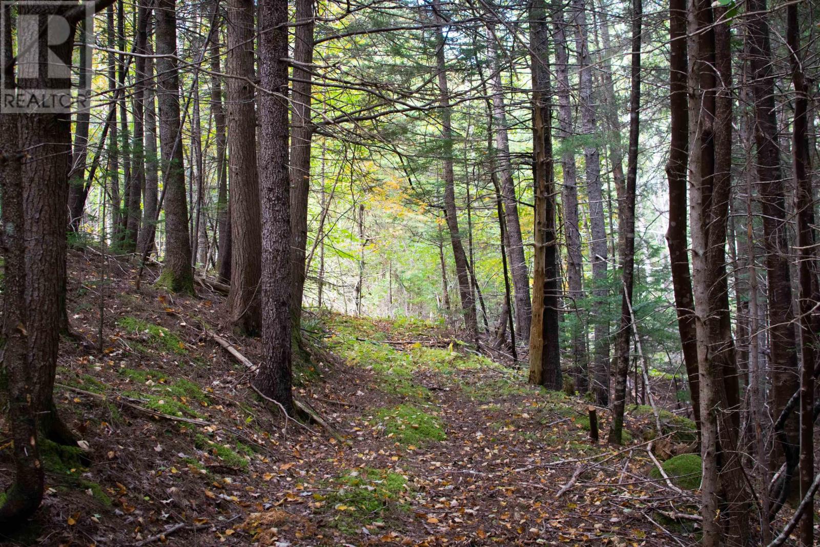 Lot 1 Power Lot Road, Guinea, Nova Scotia  B0S 1E0 - Photo 6 - 202606947