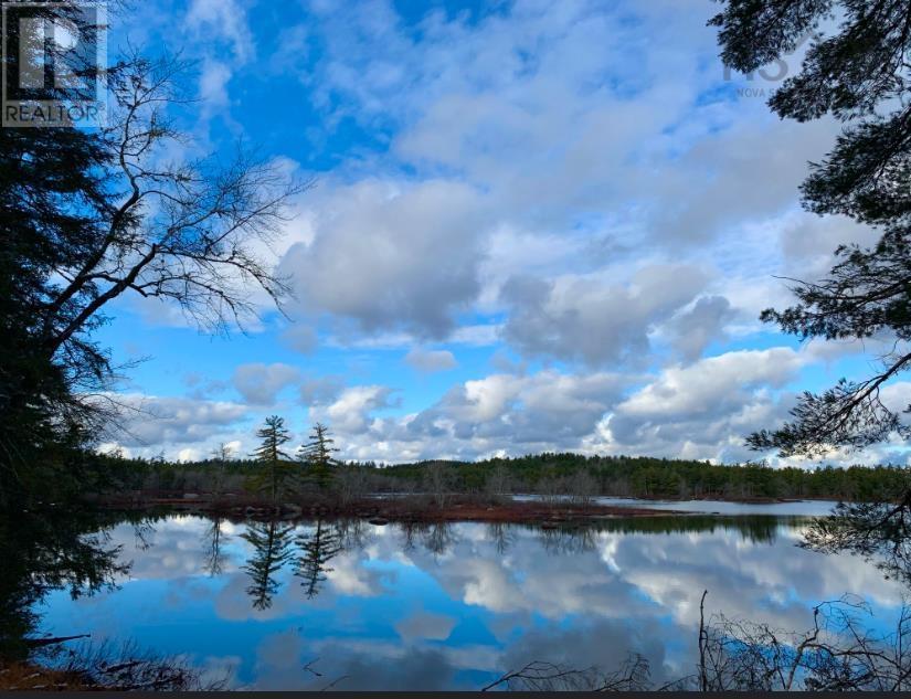 Lot 4 No 8 Highway, South Brookfield, Nova Scotia  B0T 1X0 - Photo 5 - 202606975