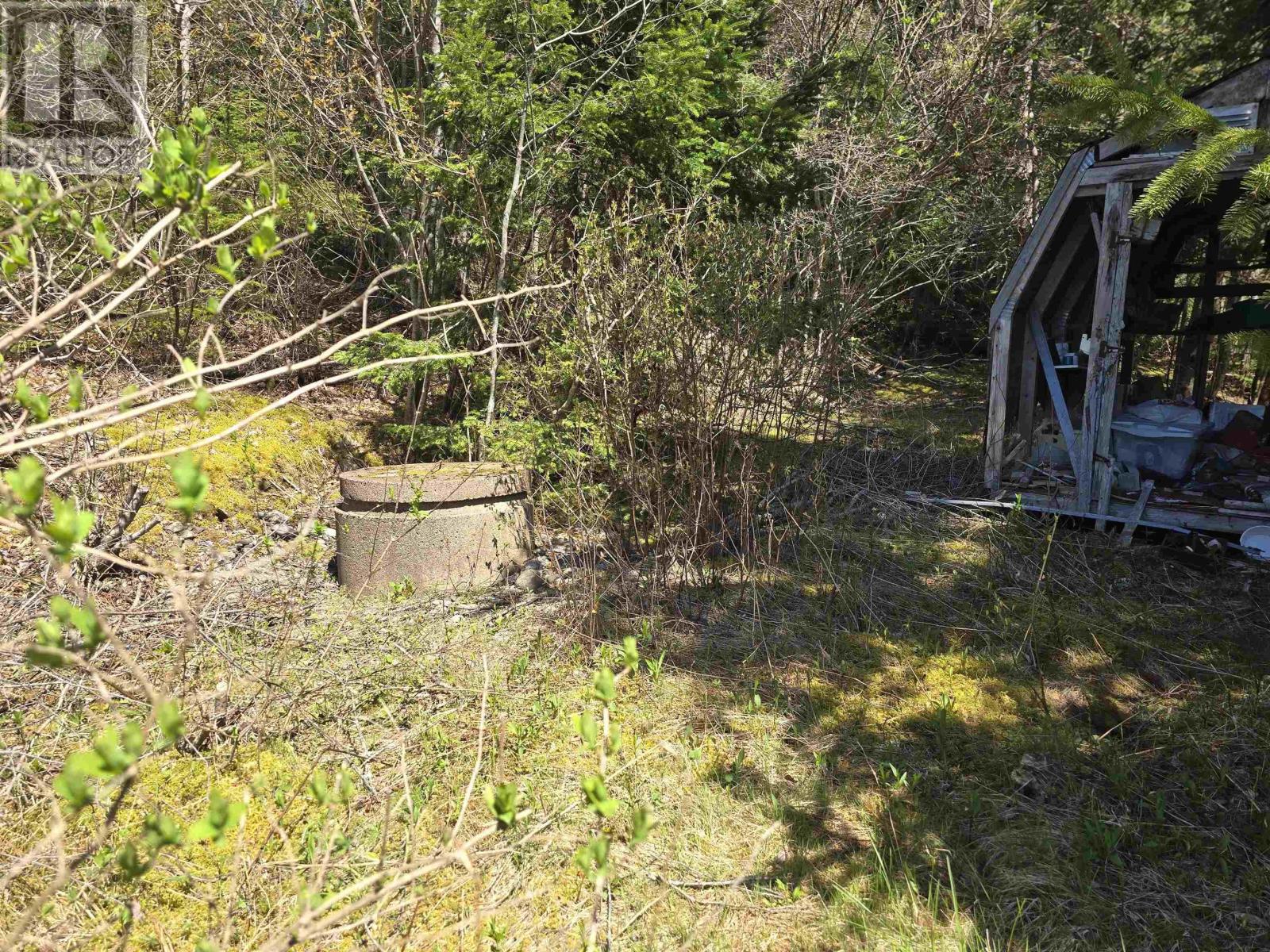 9273 Highway 16, Cooks Cove, Nova Scotia  B0H 1N0 - Photo 34 - 202607039