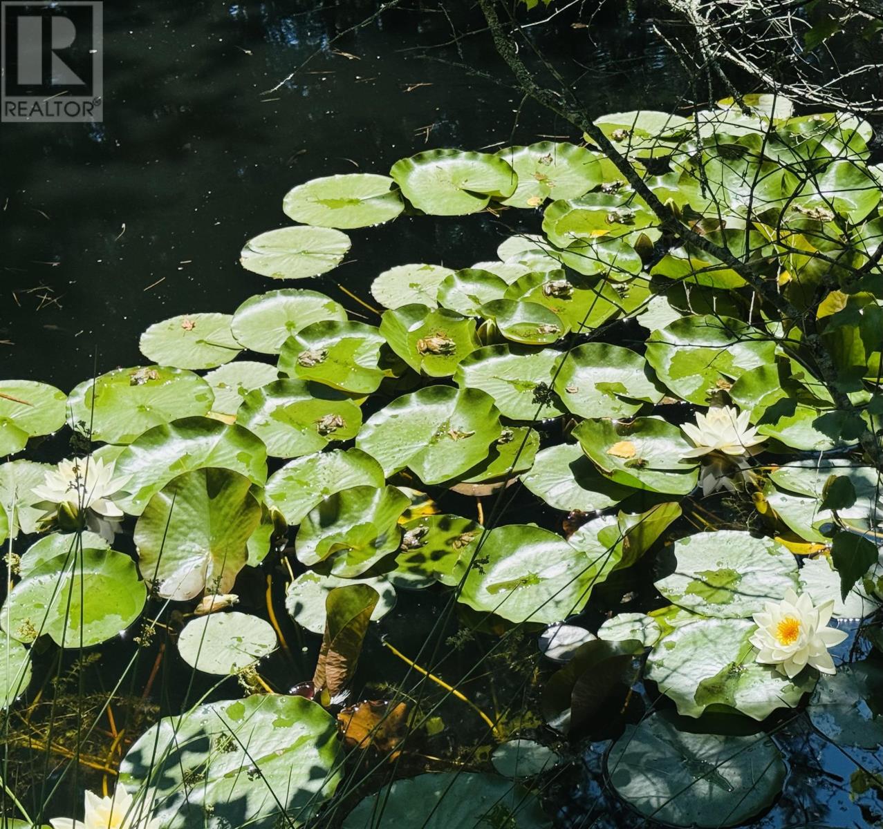 181 Pine Drive, Heckmans Island, Nova Scotia  B0J 2C0 - Photo 27 - 202607379