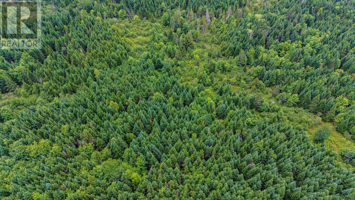 676 Westchester Road, Sutherland Lake, Nova Scotia  B0M 1G0 - Photo 18 - 202607378