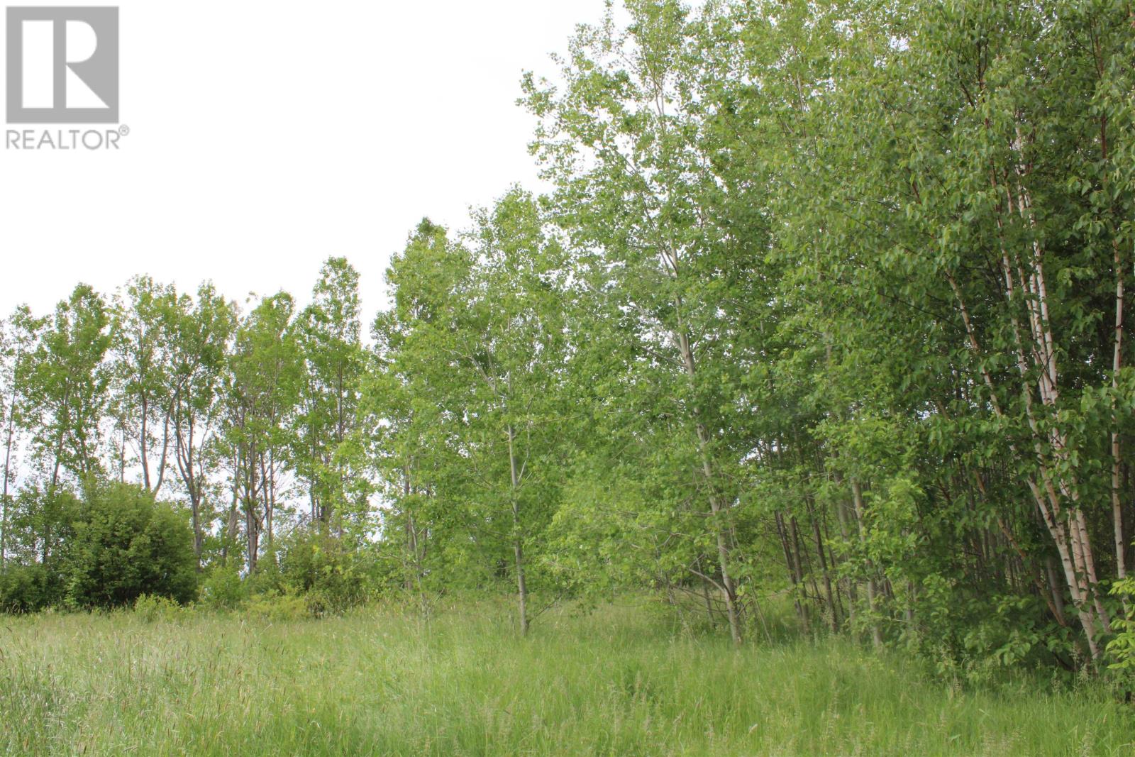 Lot Granville Road, Karsdale, Nova Scotia  B0S 1A0 - Photo 17 - 202607412