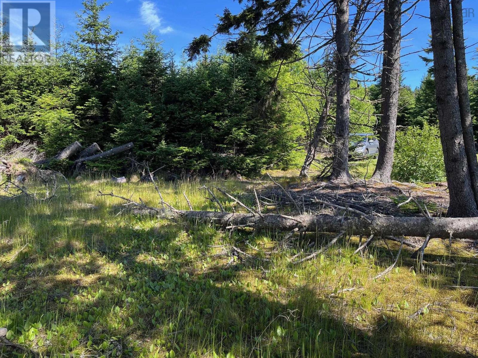 8208 Highway 209, Wards Brook, Nova Scotia  B0M 1S0 - Photo 7 - 202607439