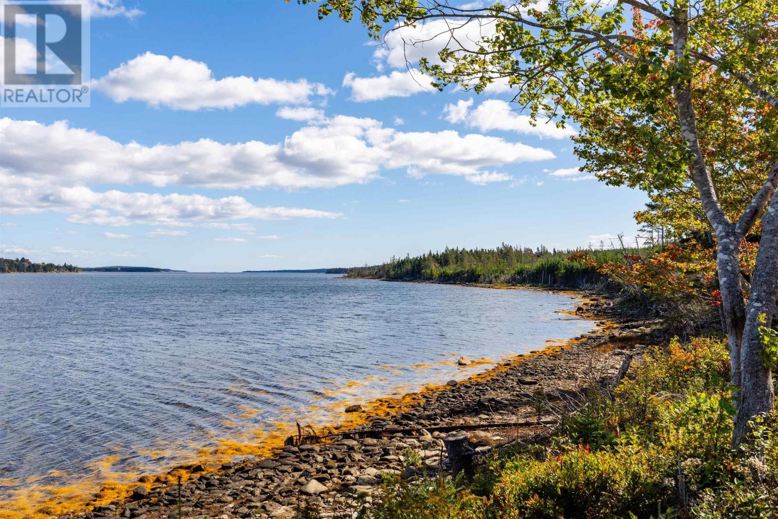 659 West Liscomb Point Road, Liscomb, Nova Scotia  B0A 2J0 - Photo 36 - 202607635