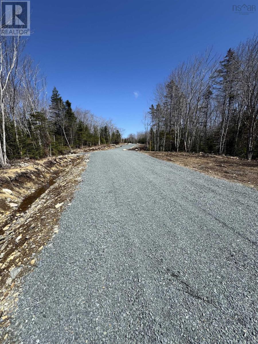 Lot 5 Highway 3, Summerville Heights, Summerville Centre, Nova Scotia  B0T 1T0 - Photo 5 - 202607798