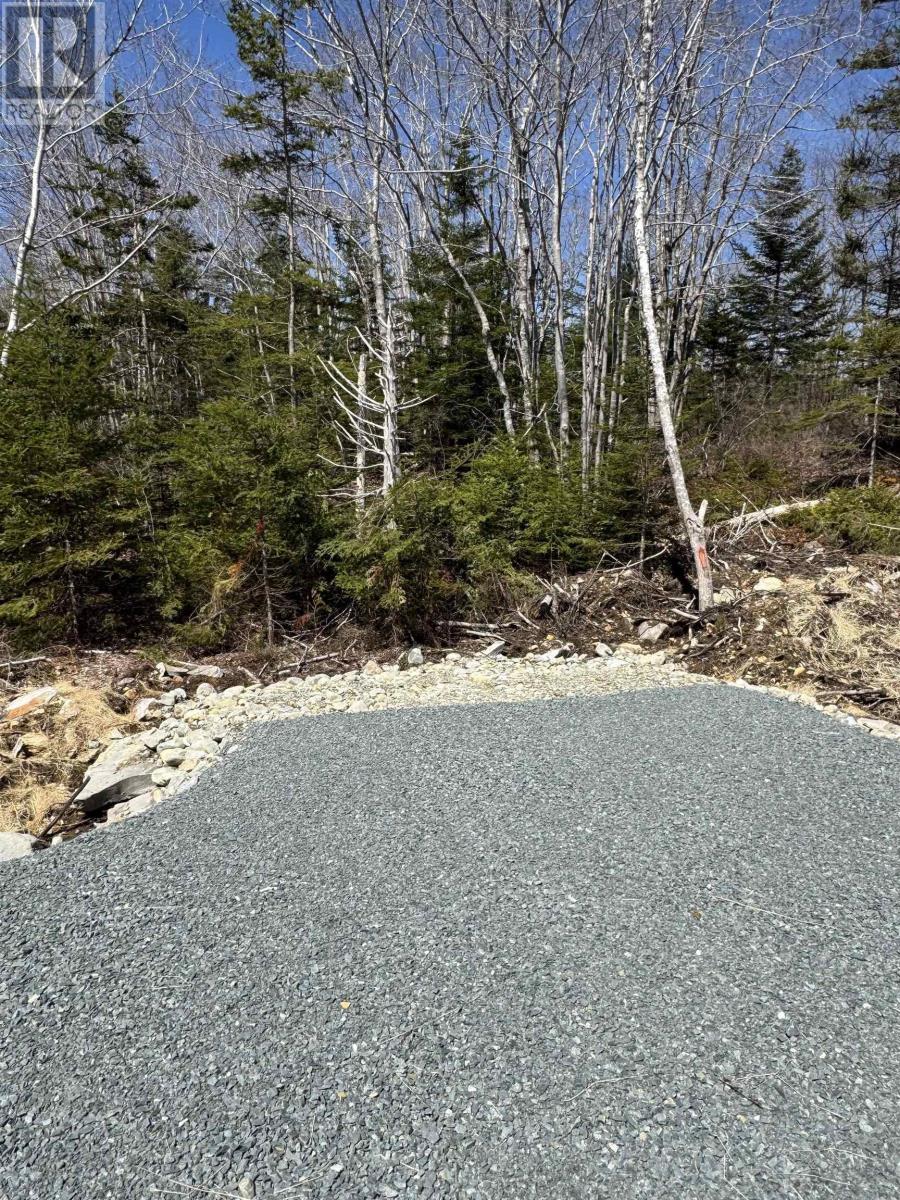 Lot 5 Highway 3, Summerville Heights, Summerville Centre, Nova Scotia  B0T 1T0 - Photo 6 - 202607798