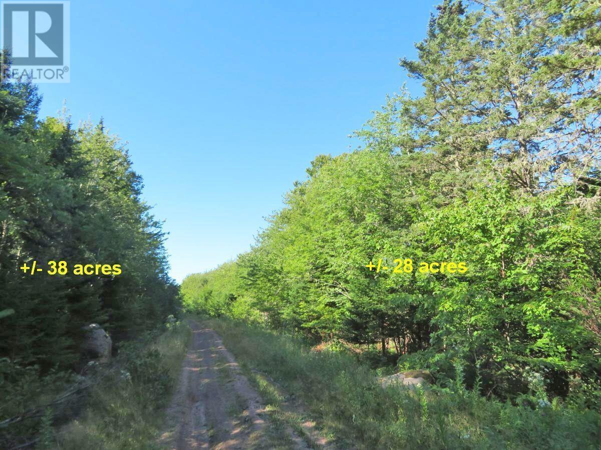 2 Lots Lower River Road, Hureauville, Nova Scotia  B0E 1J0 - Photo 11 - 202608185