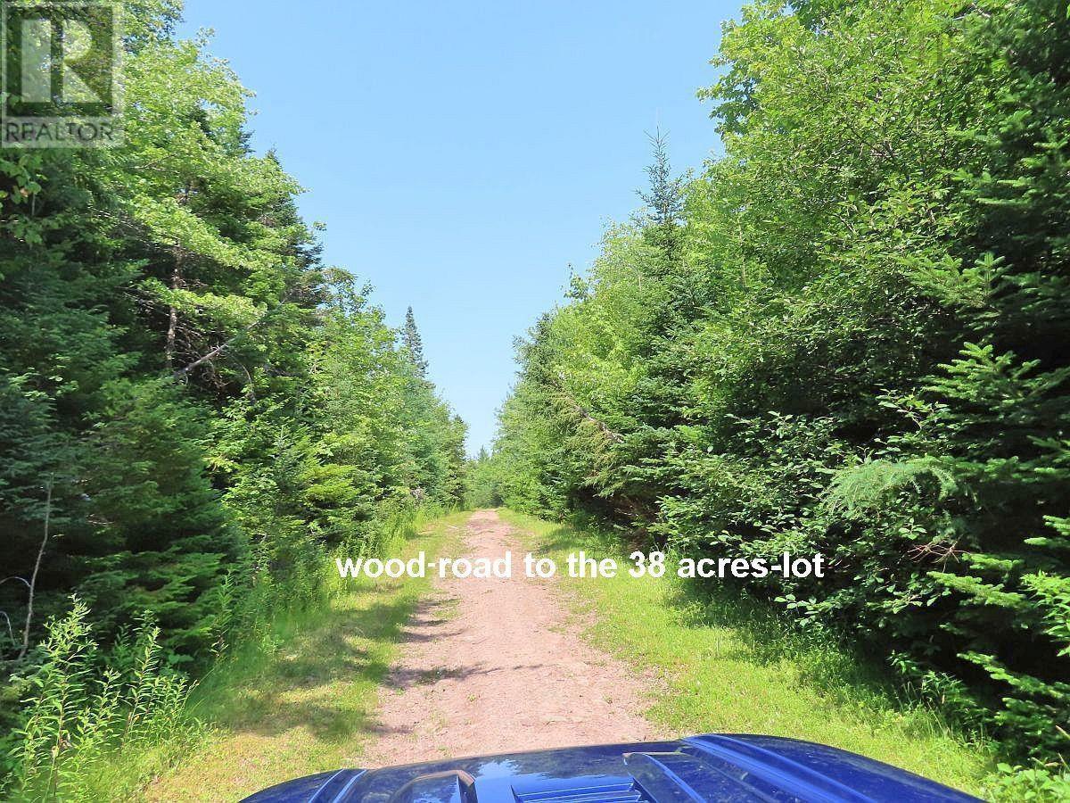 2 Lots Lower River Road, Hureauville, Nova Scotia  B0E 1J0 - Photo 8 - 202608185