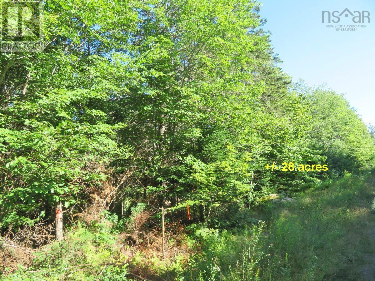2 Lots Lower River Road, Hureauville, Nova Scotia  B0E 1J0 - Photo 9 - 202608185