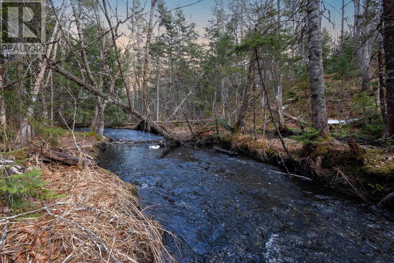 0 Merriwold Lane, Caribou Marsh, Nova Scotia  B1M 1C9 - Photo 2 - 202608619