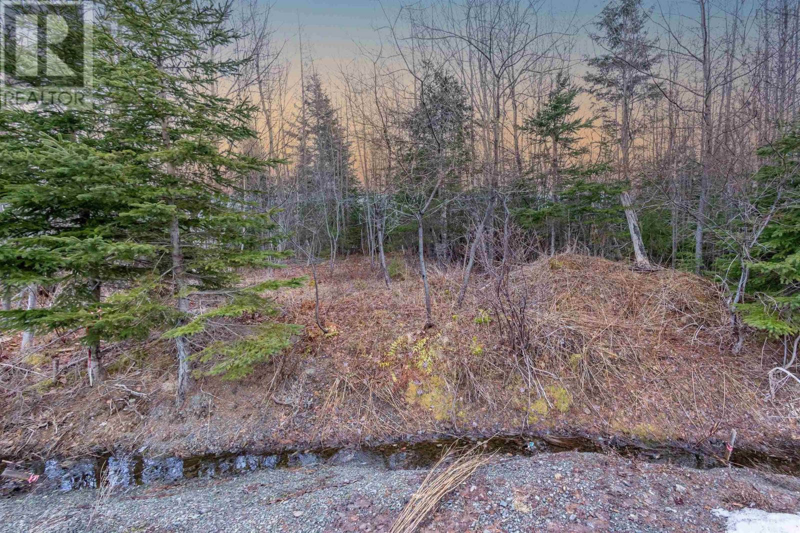 0 Merriwold Lane, Caribou Marsh, Nova Scotia  B1M 1C9 - Photo 4 - 202608619