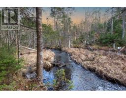 0 Merriwold Lane, caribou marsh, Nova Scotia