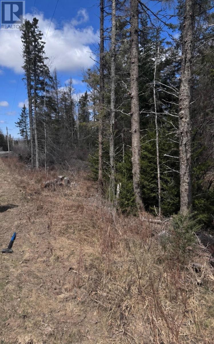 Lot #4 Lower Harmony Road, Harmony, Nova Scotia  B6L 3V5 - Photo 2 - 202608673