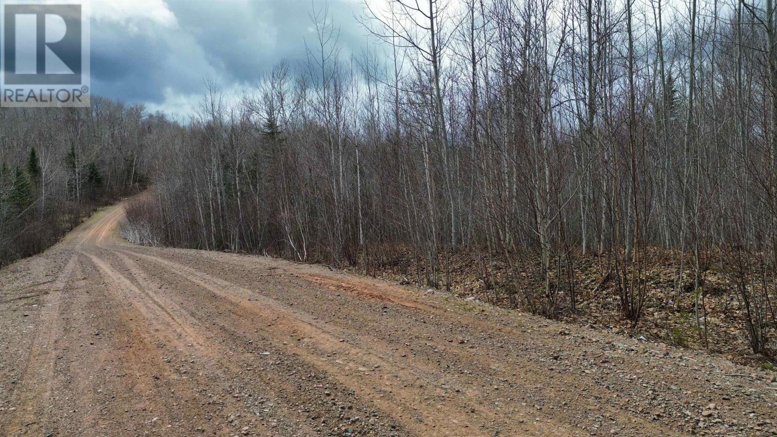 V/l Thomson Road, Birchwood, Nova Scotia  B0M 1P0 - Photo 11 - 202608700
