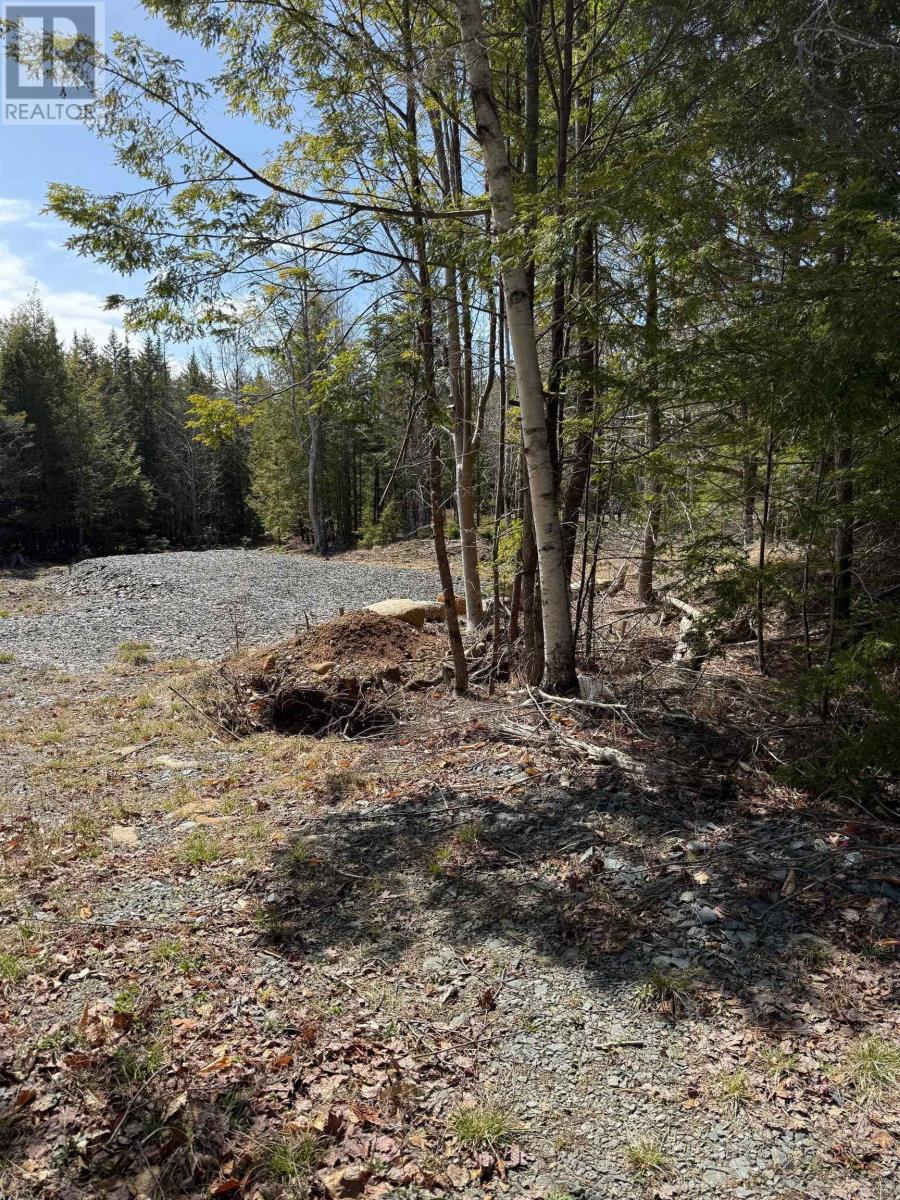 Lot 18 Dauphinee Road, Cookville, Nova Scotia  B4V 7R7 - Photo 3 - 202608983