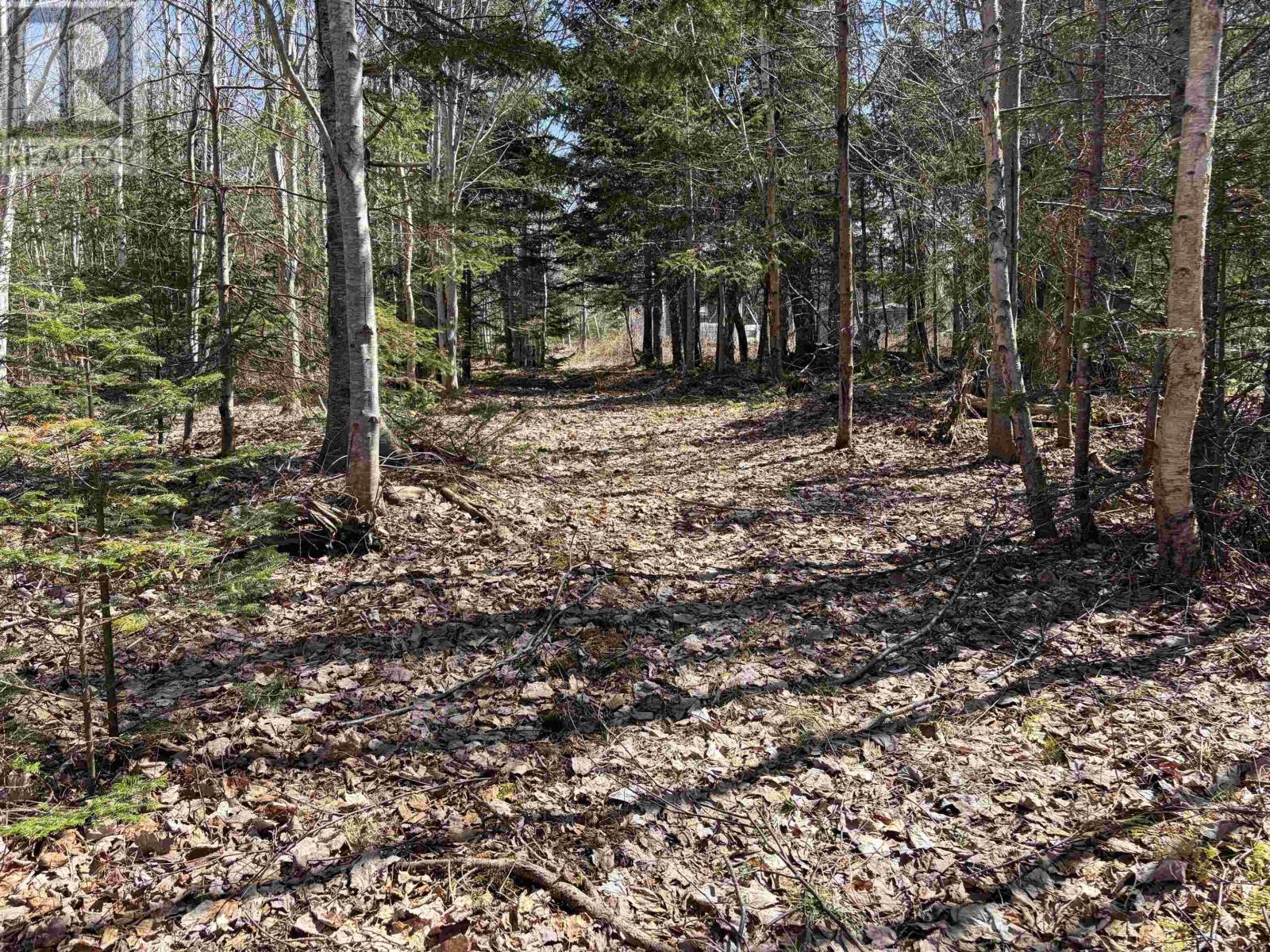 1925 Highway 215, Tennecape, Nova Scotia  B0N 2R0 - Photo 17 - 202609102