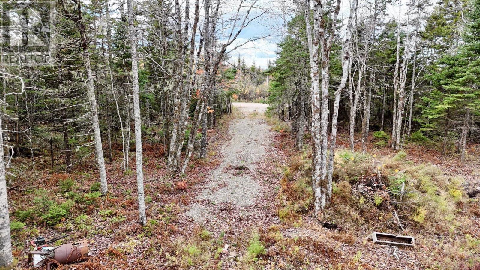 2320 Riverside Road, Green Creek, Nova Scotia  B0N 2J0 - Photo 3 - 202609268