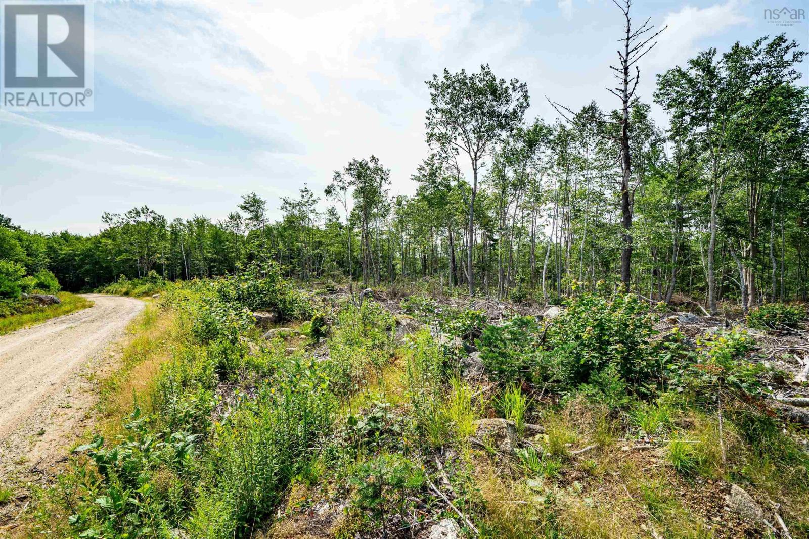 Lot 6 Victory Road, Victory, Nova Scotia  B0S 1A0 - Photo 13 - 202609278
