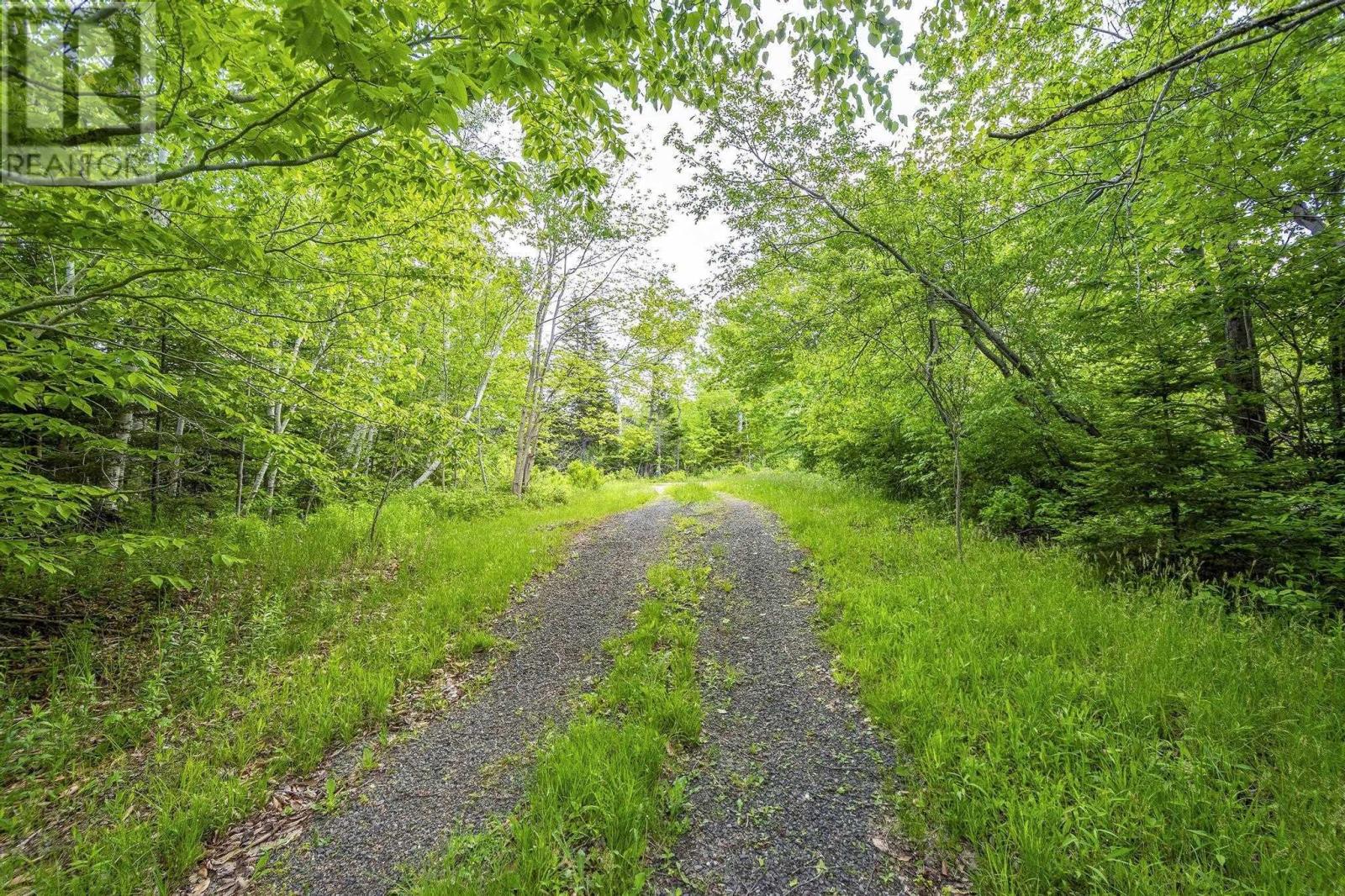 10 Highway, New Albany, Nova Scotia  B0S 1P0 - Photo 4 - 202609327