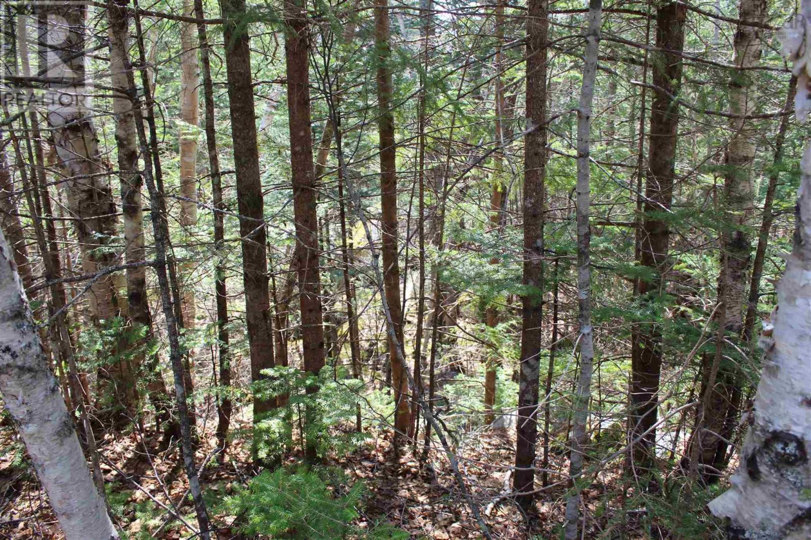 5 Big Rock, East Chester, Nova Scotia  B0J 1K0 - Photo 5 - 202609450