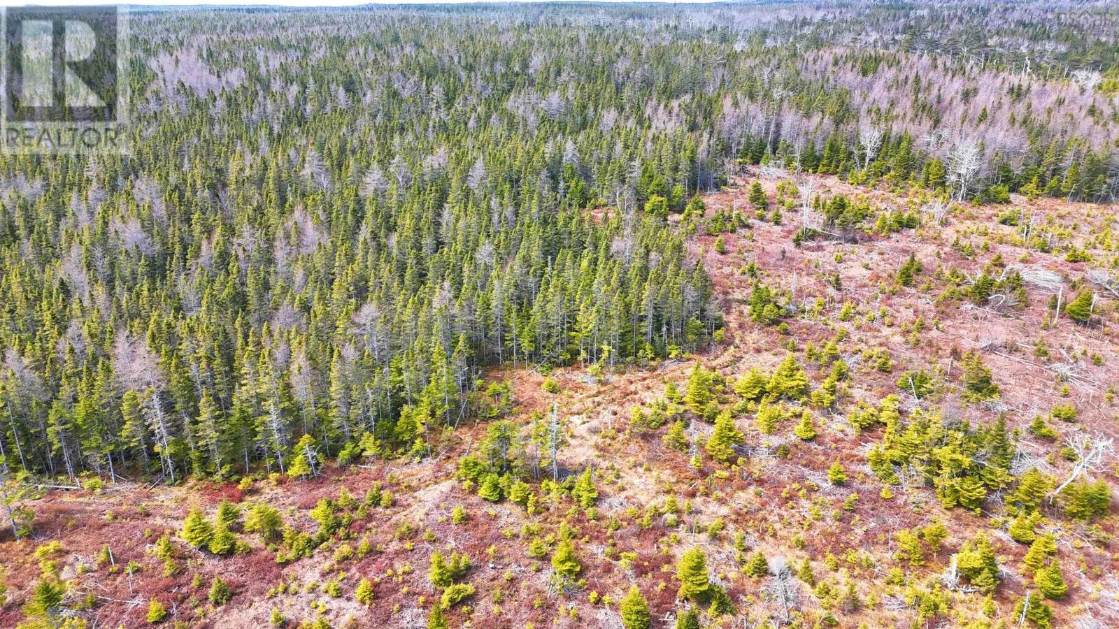 114 North Side Loch Lomond Road, Loch Lomond, Nova Scotia  B2E 1C4 - Photo 25 - 202609453