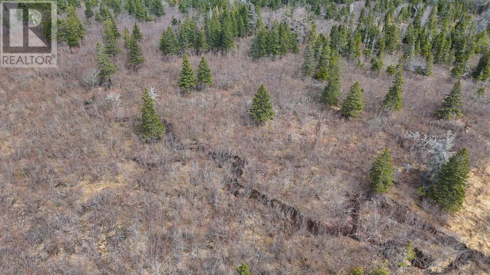 114 North Side Loch Lomond Road, Loch Lomond, Nova Scotia  B2E 1C4 - Photo 32 - 202609453