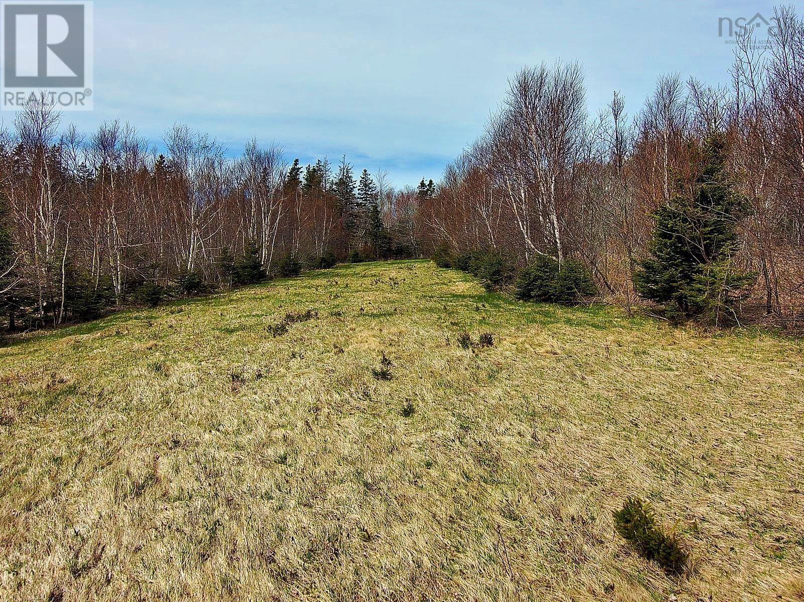 Broad Cove Marsh Road, Broad Cove Chapel, Nova Scotia  B0E 1N0 - Photo 12 - 202609456