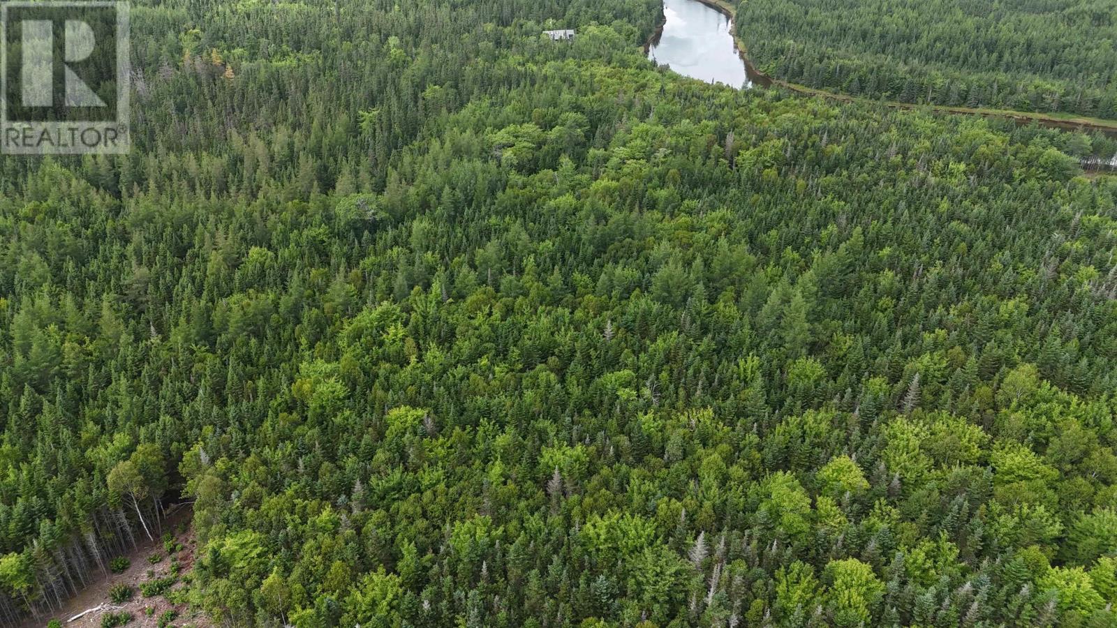 Lot 4 Helmuts Lane, Cleveland, Nova Scotia  B0E 1J0 - Photo 5 - 202609476