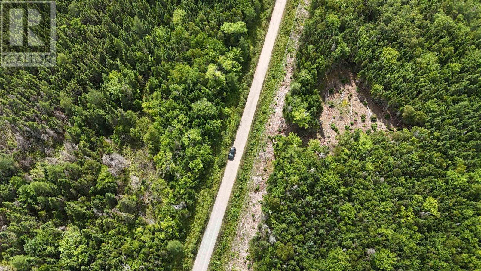 Lot 4 Helmuts Lane, Cleveland, Nova Scotia  B0E 1J0 - Photo 8 - 202609476