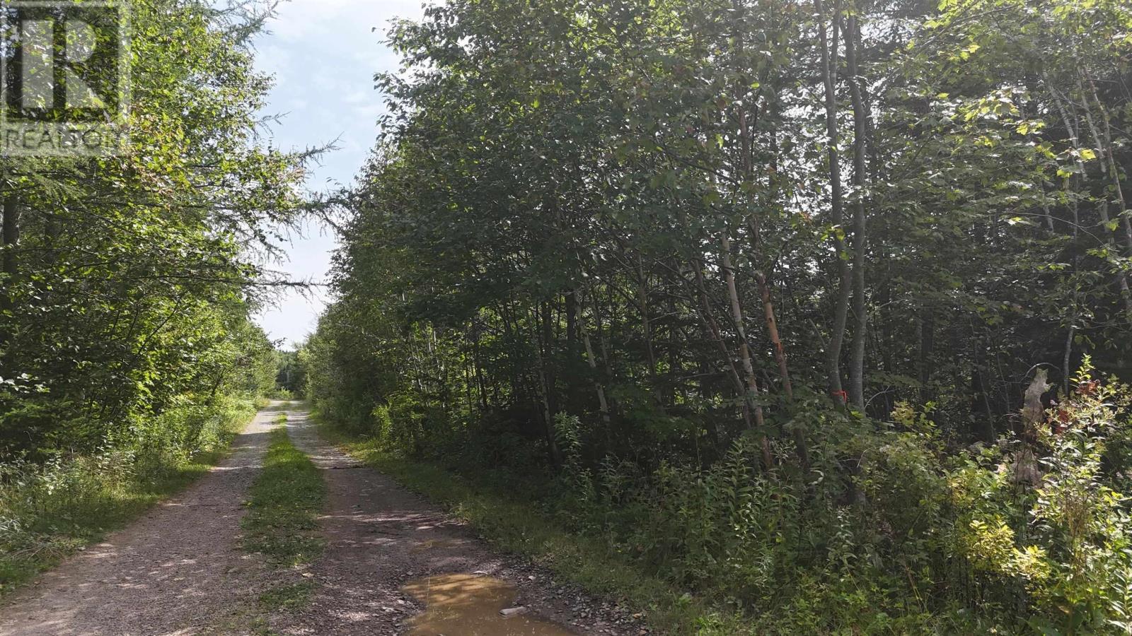 Lot 4 Helmuts Lane, Cleveland, Nova Scotia  B0E 1J0 - Photo 9 - 202609476