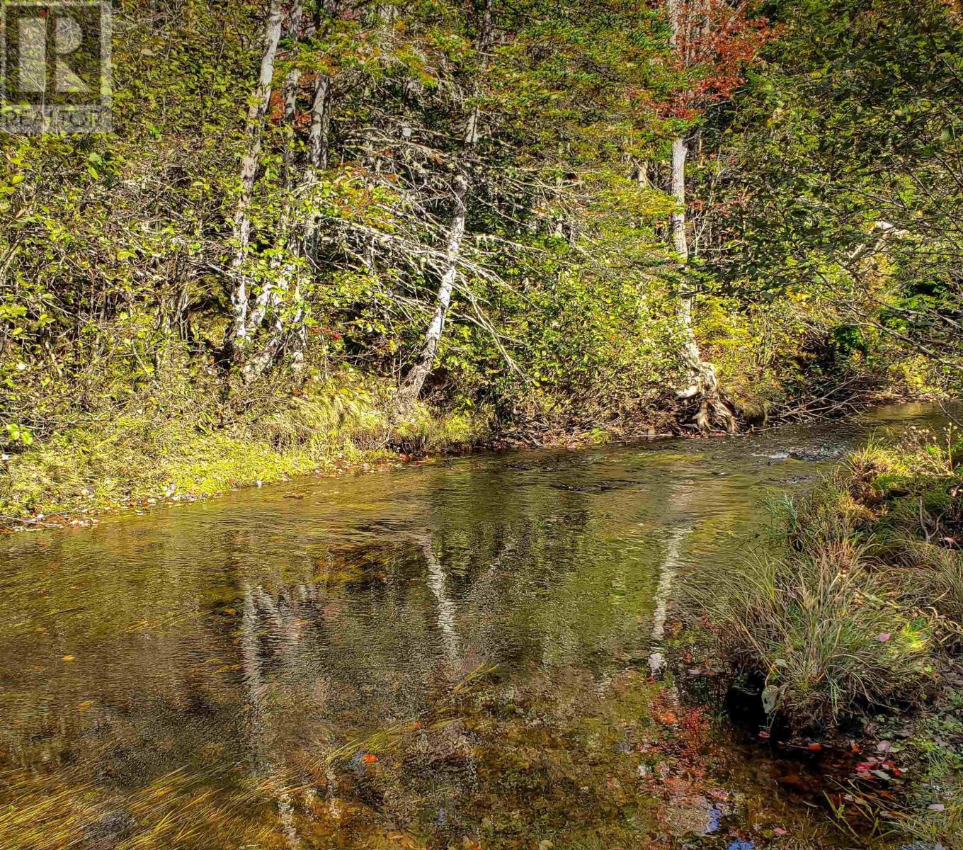Lot 22-1 Stewiacke Road, South Branch, Nova Scotia  B0N 2P0 - Photo 4 - 202609481