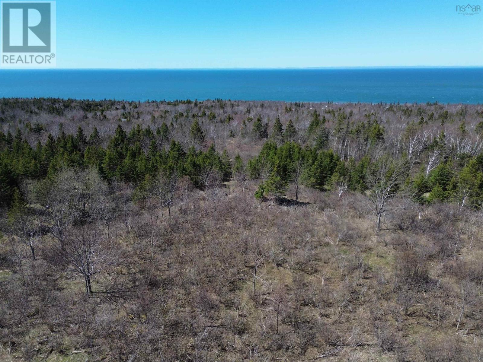 Lot Ween Street, Mount Hanley, Nova Scotia  B0S 1P0 - Photo 3 - 202609484